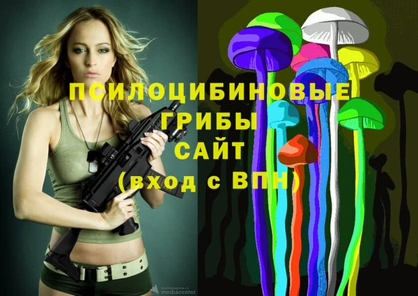 эйфоретик Абинск