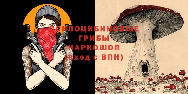 2c-b Алзамай