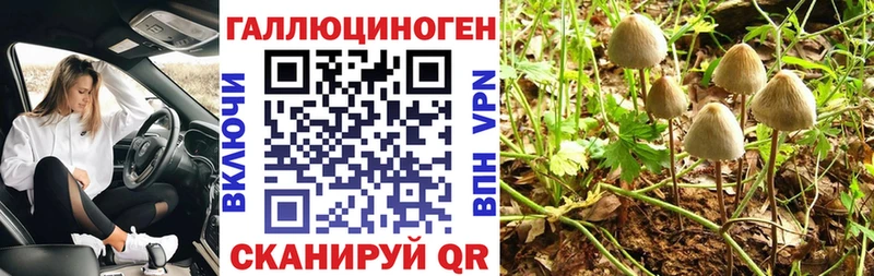 Псилоцибиновые грибы MAGIC MUSHROOMS  купить наркотик  Альметьевск 